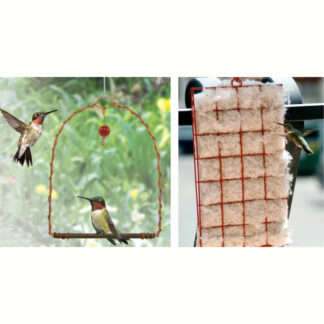 Hummingbird Swing & Nesting Material