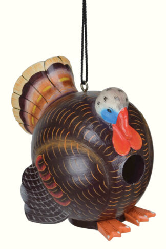Turkey Shaped Birdhouse
